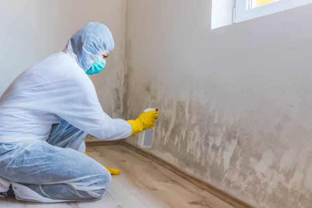 Licensed Mold Testing service in Mount Holly, NC - WQB Mold Removal