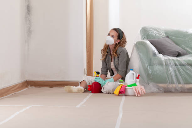 Reliable Mold Testing contractor in Mount Holly, NC by WQB Mold Removal